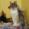Отзыв от Аня Калачева